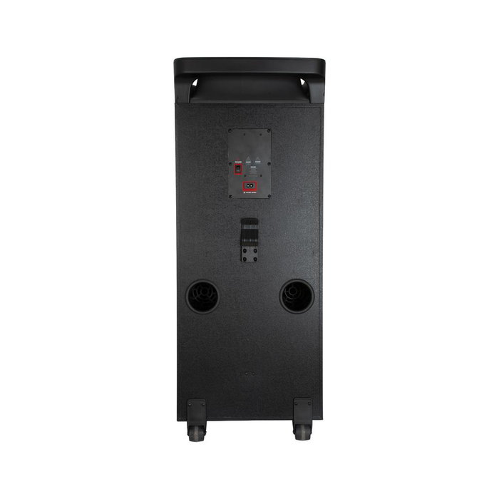 Phoenix technologies BigBoss XL 300W RMS con 2 micrófonos inalámbricos