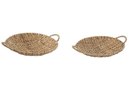 DKD Home Decor Set de 2 Centros de Mesa de Jacinto de Agua y Metal