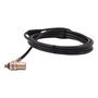 Cable de Seguridad Dicota D31831 2 m