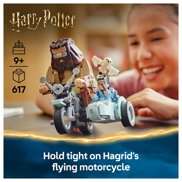 LEGO Harry Potter Viaje en Moto de Hagrid y Harry 76443 LEGO Harry Potter Viaje en Moto de Hagrid y Harry 76443