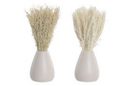 DKD Home Decor Set de 2 Flores Secas y Cerámica Beige 10x10x20 cm