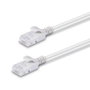 Lindy 47580 Cable de red Cat6a U/UTP 0,3 m Gris
