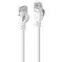 Lindy 47580 Cable de red Cat6a U/UTP 0,3 m Gris