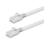 Lindy 47580 Cable de red Cat6a U/UTP Gris 0,3 m