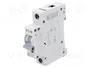 EATON ELECTRIC Interruptor magnetotérmico HN-C6/1 1 polo 6A 6kA