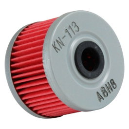 K&N KN-113 Filtro de Aire de Recambio