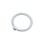 Edm Recambio Tubo Fluorescente Circular T4 12W 6500K para Modelo 30287