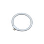 Edm Tubo Fluorescente Circular T4 12W 6500K Recambio Modelo 30287 Ø 12 cm