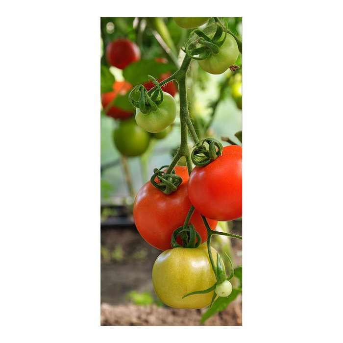 Grouw Guía para Tomateras, varilla de acero Ø6 mm x 180 cm