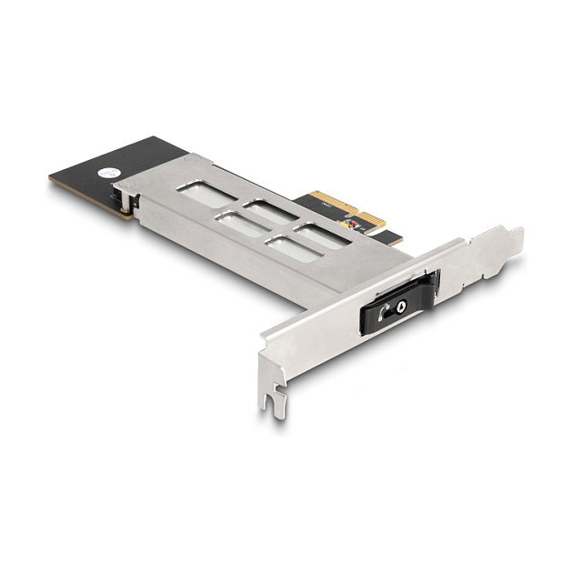 DeLOCK 47028 Tarjeta PCI Express de rack móvil para 1 x M.2 NVMe SSD - Bajo Perfil