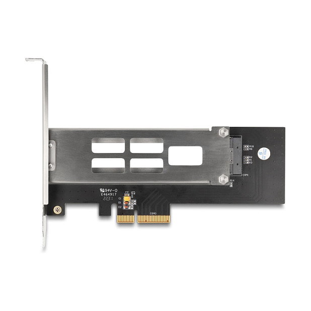 DeLOCK 47028 Tarjeta PCI Express de rack móvil para 1 x M.2 NVMe SSD - Bajo Perfil