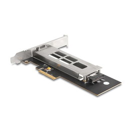 DeLOCK 47028 Tarjeta PCI Express de rack móvil para 1 x M.2 NVMe SSD - Bajo Perfil