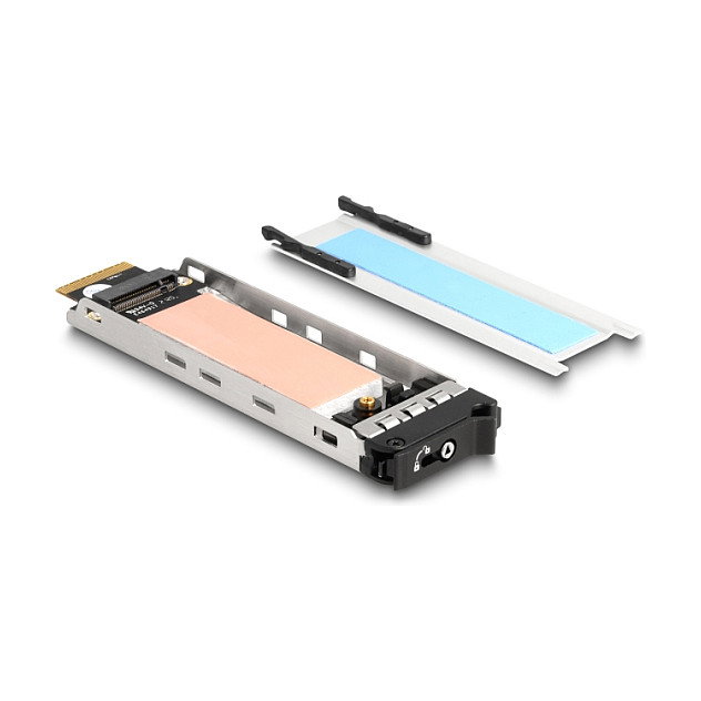 DeLOCK 47028 Tarjeta PCI Express de rack móvil para 1 x M.2 NVMe SSD - Bajo Perfil