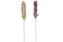 DKD Home Decor Decoración de Rayung y Bambú con Plumas de 230 cm