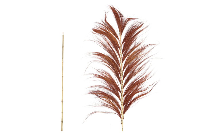 DKD Home Decor Decoración de Rayung y Bambú con Plumas de 230 cm DKD Home Decor Decoración de Rayung y Bambú con Plumas de 230 cm