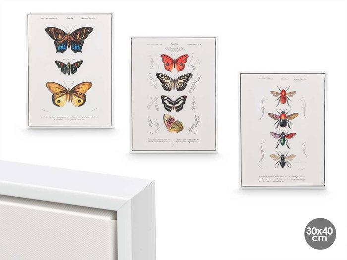 Giftdecor Cuadro Lienzo Marco Blanco Mariposa Surtidos 30x40x3 cm (Set de 3) Giftdecor Cuadro Lienzo Marco Blanco Mariposa Surtidos 30x40x3 cm (Set de 3)
