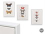 Giftdecor Cuadro Lienzo Marco Blanco Mariposa Surtidos 30x40x3 cm (Set de 3)