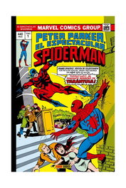 Panini España S.A. Peter Parker, El Espectacular Spiderman 01 (Marvel Gold) La Tarántula Pica Dos Veces