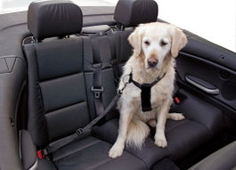 Kerbl Arnés para Vehículo Negro para Perro 80-110cm
