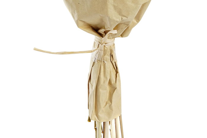 DKD Home Decor Ramo Flor Seca Amarillo Fucsia 12 x 50 x 20 cm (2 Unidades)