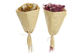 DKD Home Decor Ramo de Flor Seca Surtido de 2 Piezas (20x12x50 cm)