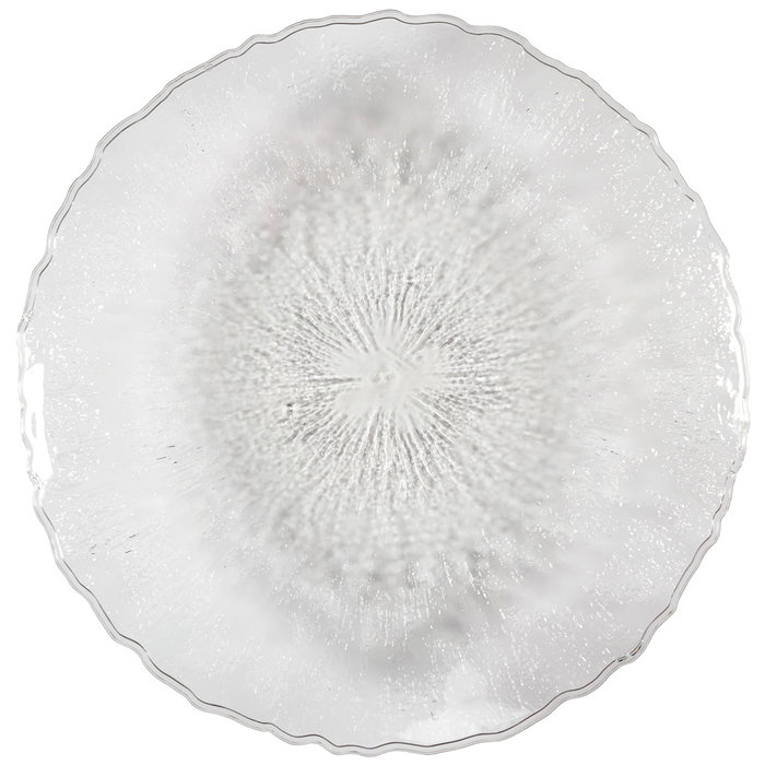 Home Deco Factory Bandeja Plástico Mirage Diámetro 42,5 cm Home Deco Factory Bandeja Plástico Mirage Diámetro 42,5 cm