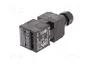 SCHMERSAL AZ 17 Interruptor de seguridad a llave NC x2 IP67