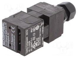 SCHMERSAL AZ 17 Interruptor de seguridad a llave NC x2 IP67