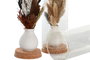 DKD Home Decor Decoración Flor Seca y Cristal 8,5x8,5x20 Surtido de 2