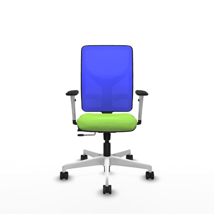 PIQUERAS Y CRESPO Silla de oficina Motilla con mecanismo Sincro/Traslack Pistacho y Azul