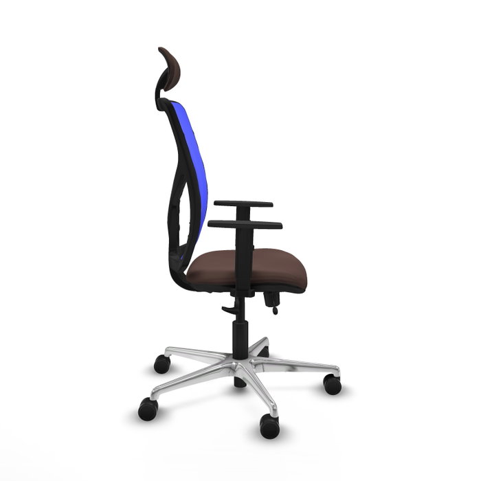PIQUERAS Y CRESPO Silla de oficina Motilla con mecanismo Sincro/Traslack, Azul y Marrón oscuro PIQUERAS Y CRESPO Silla de oficina Motilla con mecanismo Sincro/Traslack, Azul y Marrón oscuro