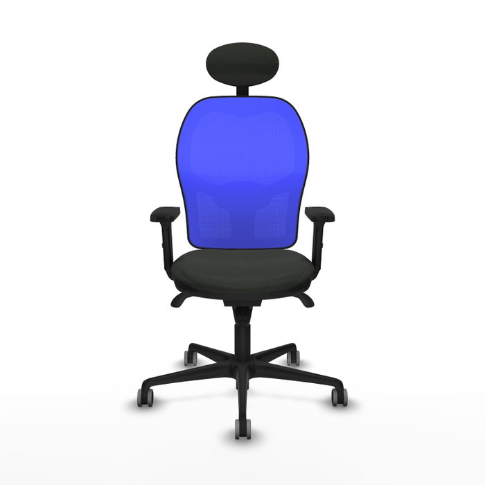 PIQUERAS Y CRESPO Silla de oficina Jorquera con mecanismo Sincro, Tela Negro y Malla Azul