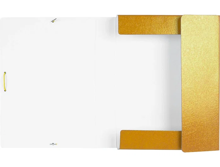 Liderpapel Carpeta para proyectos lomo 50mm cartón gofrado amarilla