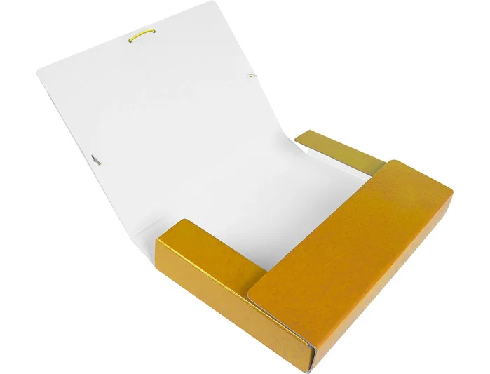 Liderpapel Carpeta para proyectos lomo 50mm cartón gofrado amarilla