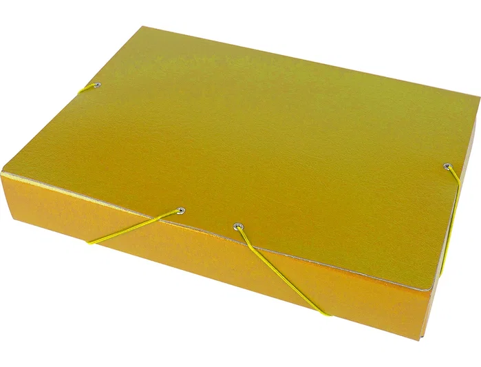 Liderpapel Carpeta para proyectos lomo 50mm cartón gofrado amarilla