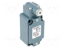 PIZZATO ELETTRICA Interruptor de fin de carrera NO + NC 10A PG13,5