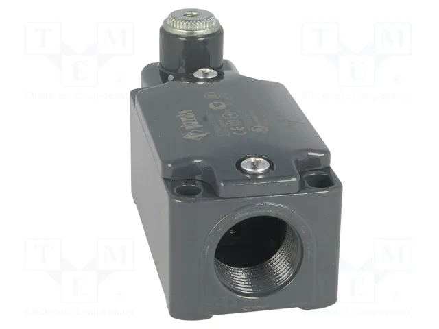PIZZATO ELETTRICA Interruptor de fin de carrera NO + NC 10A PG13,5 PIZZATO ELETTRICA Interruptor de fin de carrera NO + NC 10A PG13,5