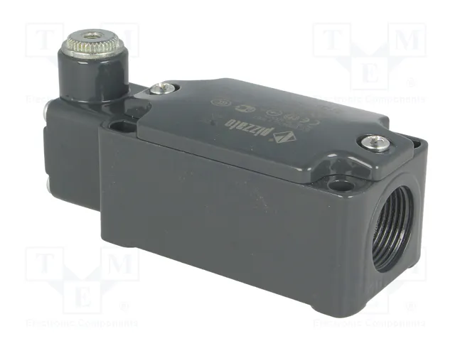 PIZZATO ELETTRICA Interruptor de fin de carrera NO + NC 10A PG13,5 PIZZATO ELETTRICA Interruptor de fin de carrera NO + NC 10A PG13,5