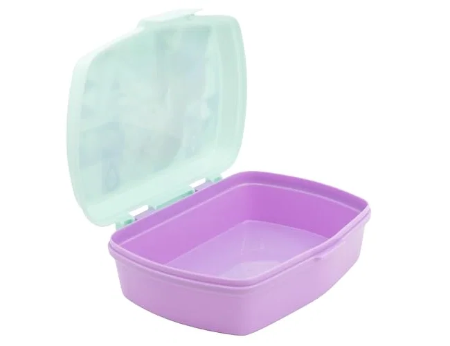 Safta Sandwichera Rectangular Frozen Spirit Safta Sandwichera Rectangular Frozen Spirit
