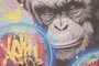 DKD Home Decor Cuadro LED Lienzo Chimpancé Boxeo