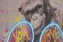 DKD Home Decor Cuadro LED Lienzo Chimpancé Boxeo