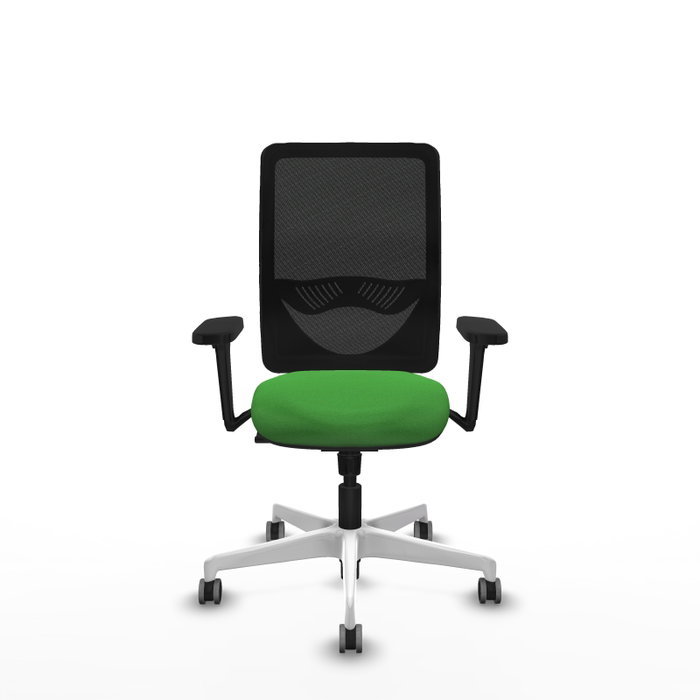 PIQUERAS Y CRESPO Silla de oficina Zulema con mecanismo Sincro, Verde y Negro PIQUERAS Y CRESPO Silla de oficina Zulema con mecanismo Sincro, Verde y Negro
