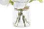 DKD Home Decor Planta Tela Cristal Surtido de 2 Colores (Pack de 12)