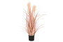 DKD Home Decor Set de 4 Plumeros Coral y Negro en PE y PVC 25x25x80 cm