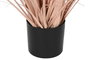 DKD Home Decor Set de 4 Plumeros Coral y Negro en PE y PVC 25x25x80 cm