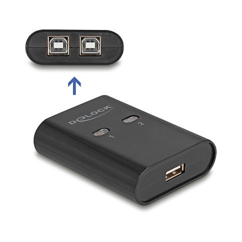 DeLOCK 11503 Conmutador USB 2.0 para 2 PC a 1 Dispositivo