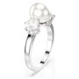 Anillo Mujer Swarovski 5689631 Plateado 12