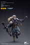 Joy Toy (CN) Warhammer 40k Astra Militarum Death Korps of Krieg Veteran Squad Guardsman 11 cm