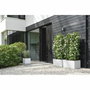 Elho Jardinera Vivo Next Square 30 Blanco Ø 30 x H 29 cm