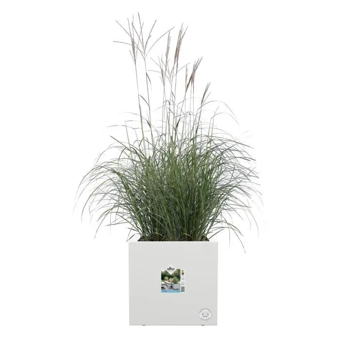 Elho Jardinera Vivo Next Square 30 Blanco Ø 30 x H 29 cm 100% reciclado ELH8711904499242